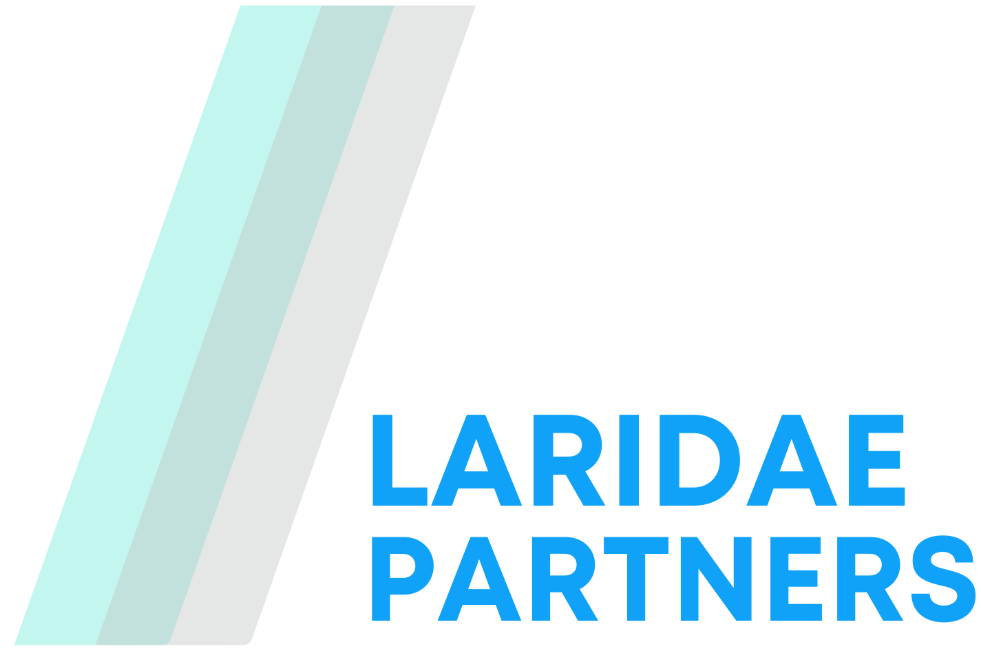 Laridae Partners logo